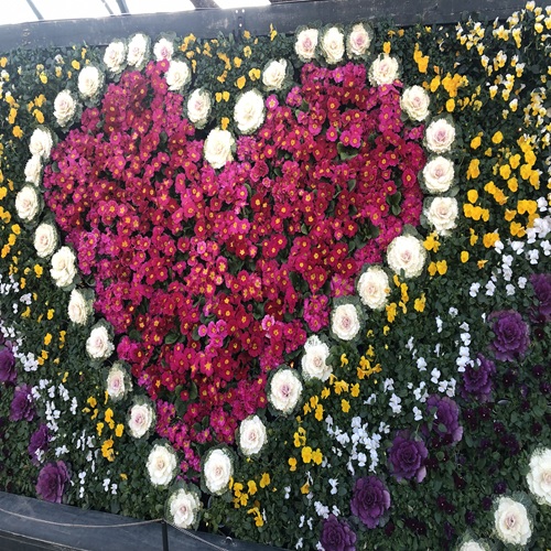 あしかがフラワーパーク